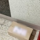 캣블라썸 | [스타벅스] 체리블라썸 MD 블루밍 캣 글라스 콜드컵 내돈내산