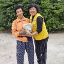 (주)참프레 이미지