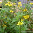 선황농장 이미지