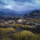 돌풀마루 이미지