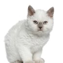 사랑애완동물병원 이미지