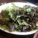 생오리오리 이미지