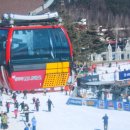 비엔나인형박물관 이미지