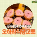논현모두약국 | 논현역 혼밥 맛집 오하라식당교토 내돈내산 돈가스 카레 추천
