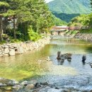 묵컴퍼니 | 근처 다슬기 전문점 맛집 “ 무주 청정 다슬기 맛집 ” / 굴뚝빵 디저트가 맛있는 카페 “ 세븐 컴퍼니 ”