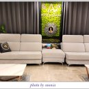 호텔아라리 이미지