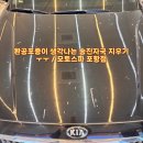 송진포항 이미지