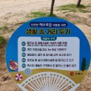 아는 사람만 가는..거제 물안(엽개)해수욕장! 모래놀이와 자연을 만끽하자!!