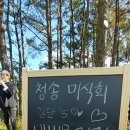 청송포레스트 네이버블로그