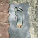 초곡1리 이미지