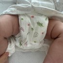 지유환경디자인