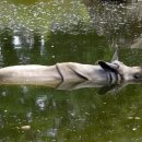 구립용산노인전문요양원 이미지