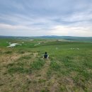 초원골프 | [내몽골 여행] - 후룬베이얼 초원슬라이드 &amp; 중러 국경 71-2표지석