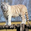 그림책나들이 이미지