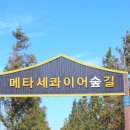 바다향기전동바이크