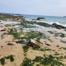 오도1리 이미지