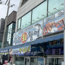 청정회타운 | 일산 횟집 풍동 청정회활어