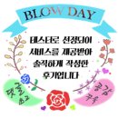 해니옐로우