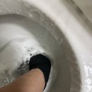 디오빌 | 서울시 서대문구 충정로 대우디오빌 입주청소 후기