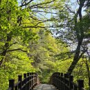 매봉공원 | 🌄등산일지#52. 길 많이 헤멘 청계산 청계사 - 매봉 코스 등산 후기 (오스프리 10peak 인증)