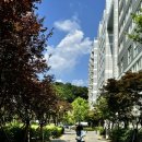 동호세탁소 이미지