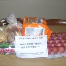 현대하이스코(주) Daum카페