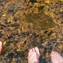 맘스터치 고령점 이미지