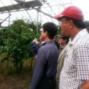 대추골농장 이미지