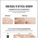 비비데이즈