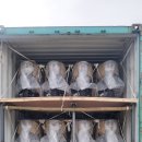 STL모터스 이미지