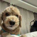 다정다감, 봄 이미지