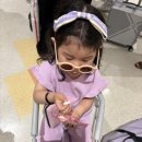 에이스카랜드 이미지