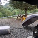 쑥부쟁이(용산저수지)둘레길 | 음성 봉학골 산림욕장(용산 저수지 둘레길)