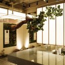 클림의원 이미지