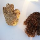 세종푸드 Daum카페