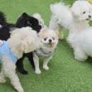 멍스토리 이미지