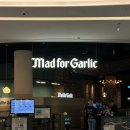 위드펫동물병원 | 안성 스타필드 애견동반 맛집 매드포갈릭 펫레스토랑 강아지랑 방문 후기