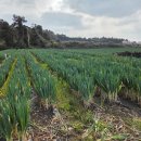 초록마을 이미지