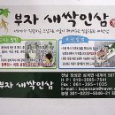 장성 부자새싹인삼