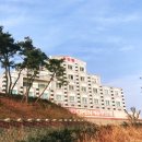 C무인텔
