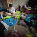 효림농장 | 비치대장정을 감히 내가
