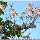 서암주차장 이미지