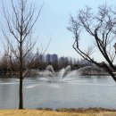 오리들2길 이미지