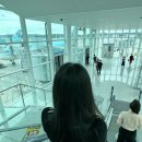 956 | [튀르키예 여행] 대한항공 KE955 인천-이스탄불행 및 터키항공 자가환승 비추 후기 KE956