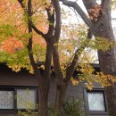 소소한향기 이미지