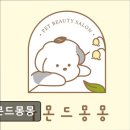 아몬드 몽몽 | (수원, 강아지, 고양이, 애견미용, 추천!) 아몬드몽몽 수원 아몬드몽몽, 친절한 미용 서비스