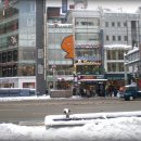 호랑이광장 이미지