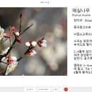 홍제천커뮤니티 초간단 요약정리(12월 7일:월) : 10:00~11:00(Webex Meeting) 이미지