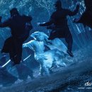 화개유시 이미지