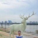 연세대학교 경영전문대학원 | EMBA] 국내 최초 트리플크라운 인증 연세대학교 경영전문대학원 Executive MBA 2026년 3월 입학지원...
